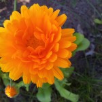 20130612_091712