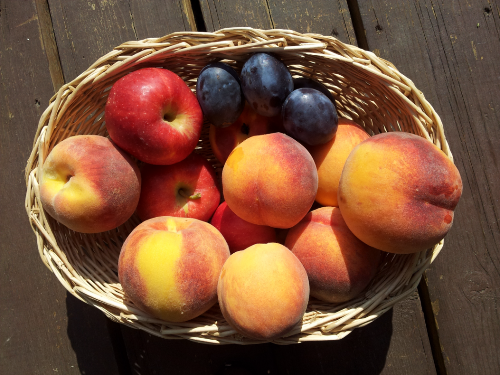 peaches